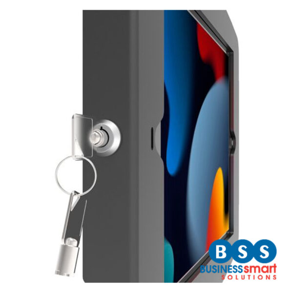 Space Swing Arm Wall Mount